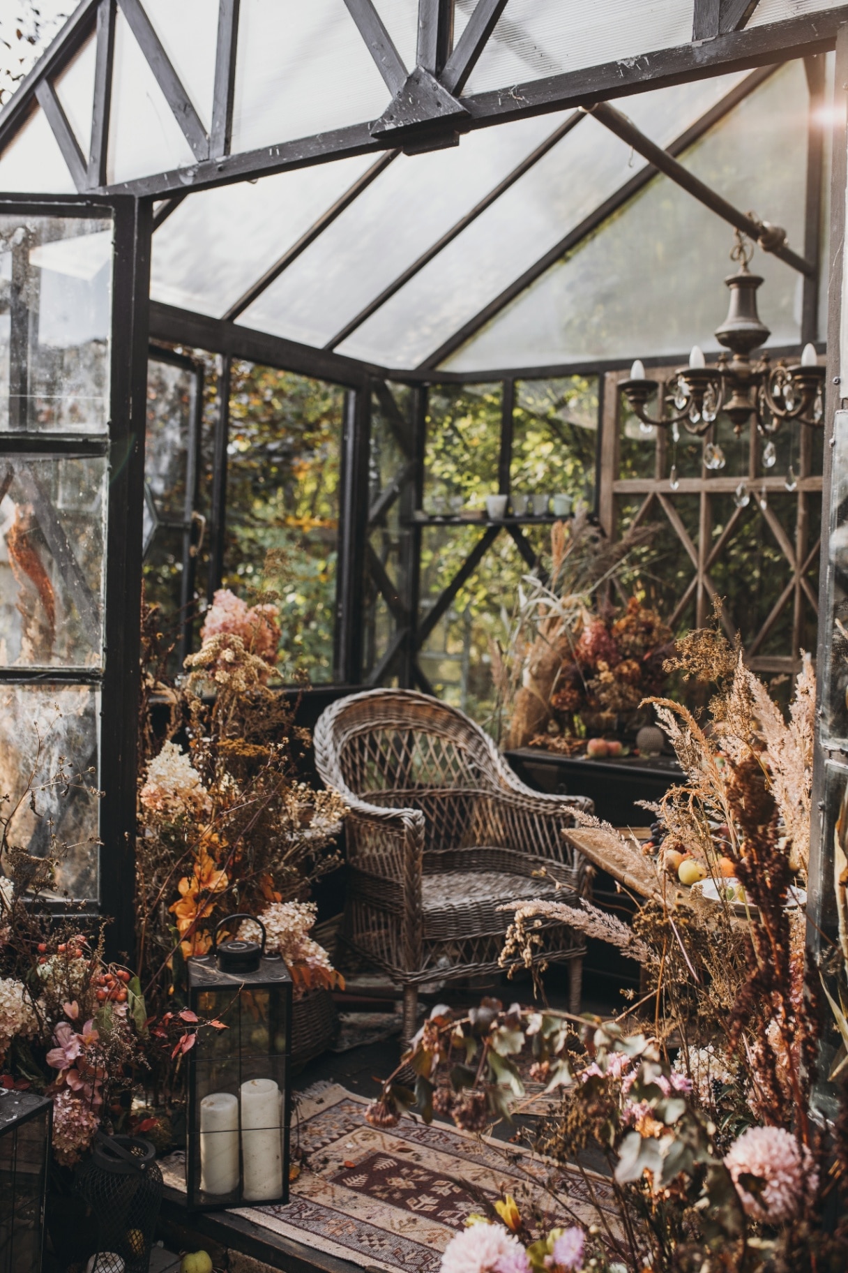 Cozy glass greenhouse with wicker chair, dried flowers, candles and fall plants