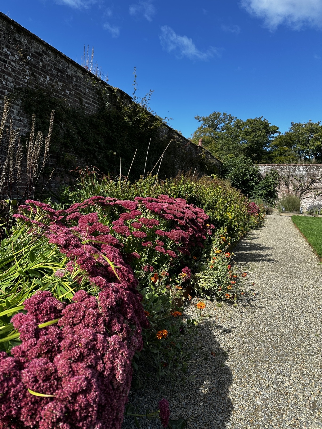 Walled garden at Llanerchaeron, Wales.