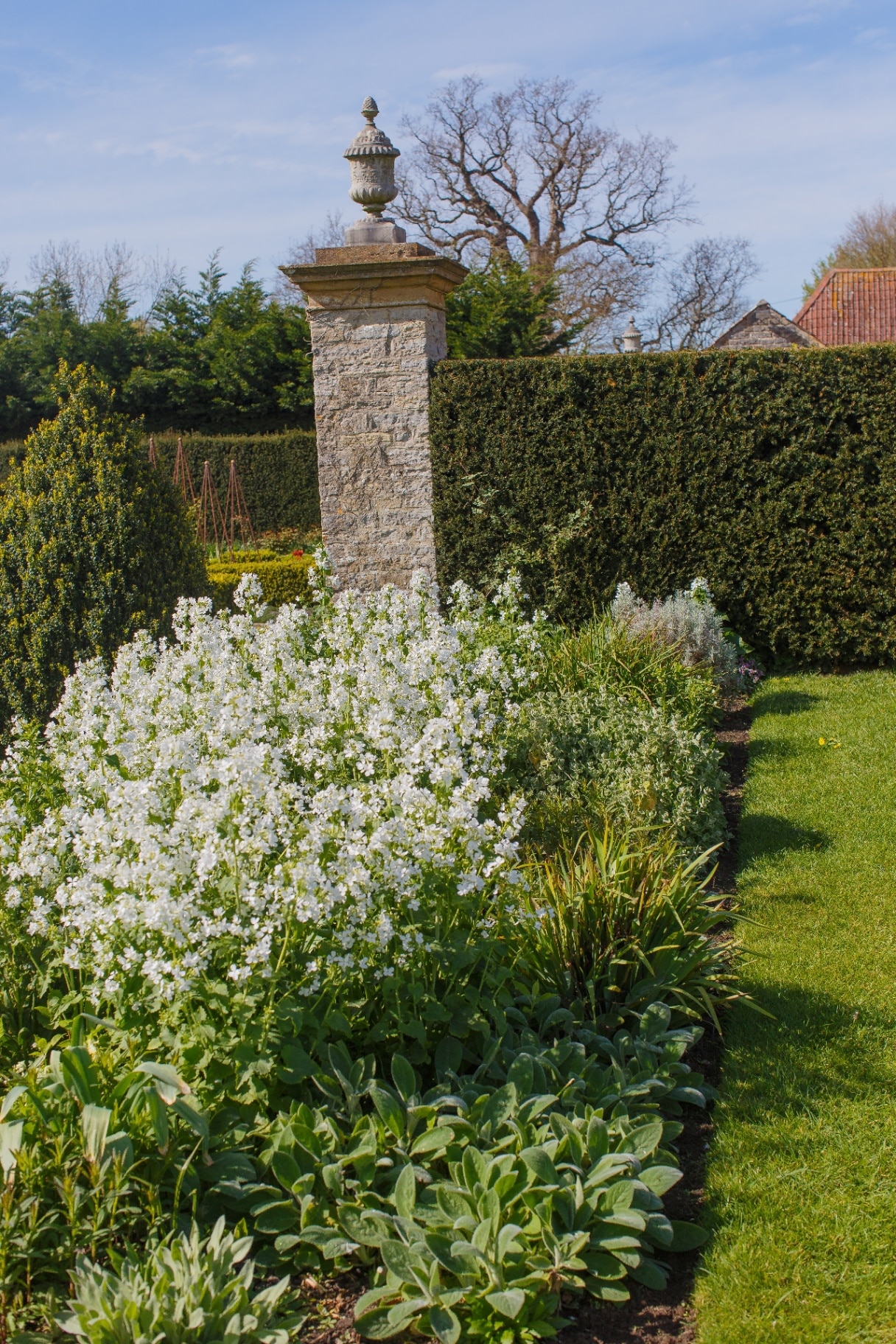 Beautiful English style garden. Beautiful scenery. United Kingdom.