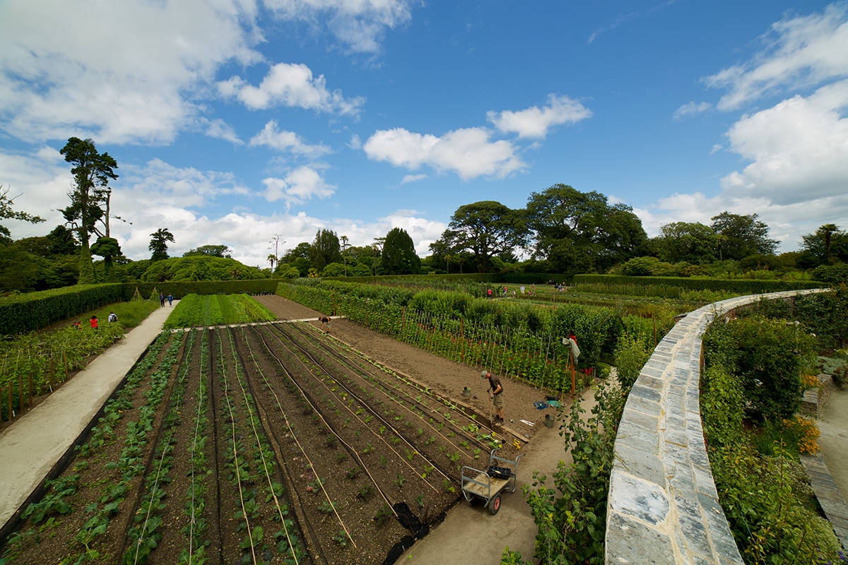 The Vegetable Garden at Heligan 