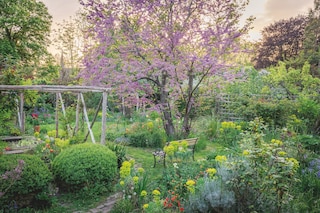 Sue Martin's Kent cottage garden 1 Brickwall Cottages