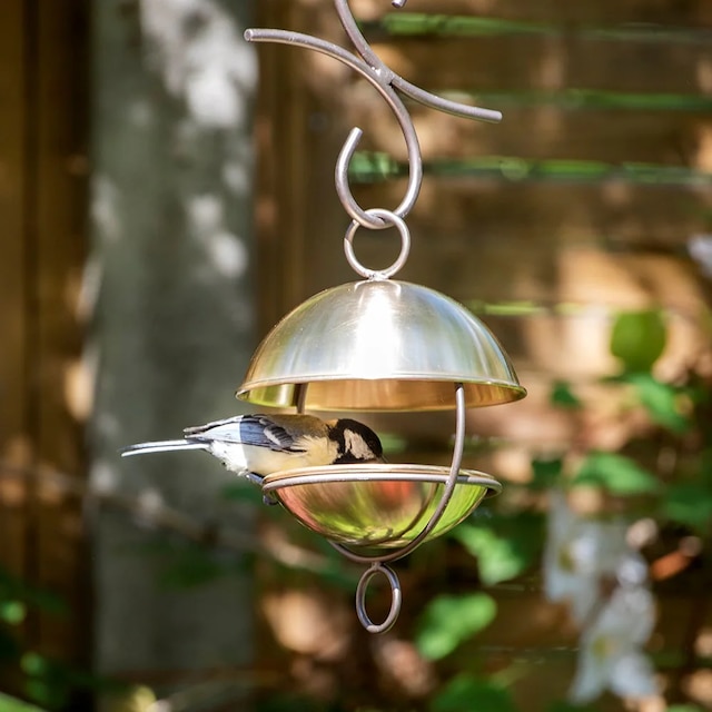 Satellite bird seed feeder