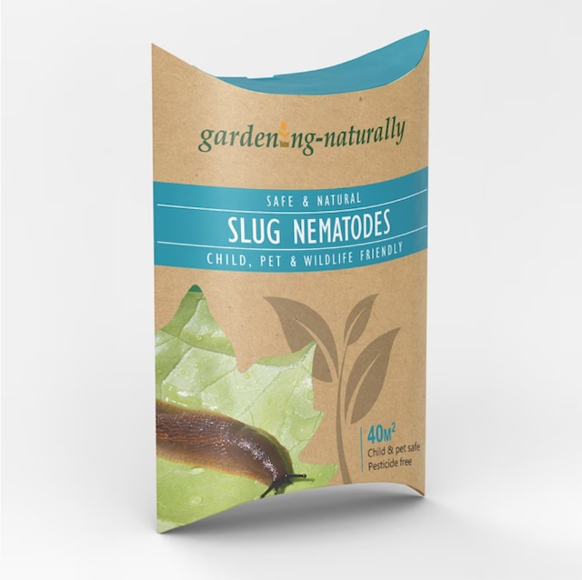 Slug Nematodes
