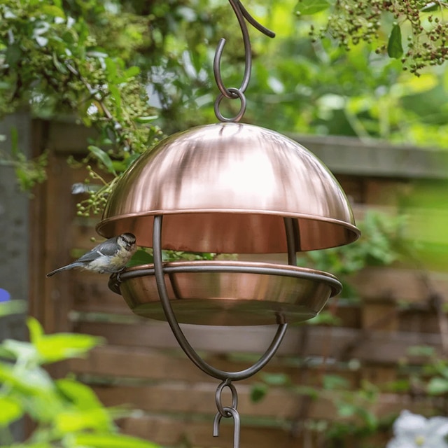 Hanging bird feeding dome