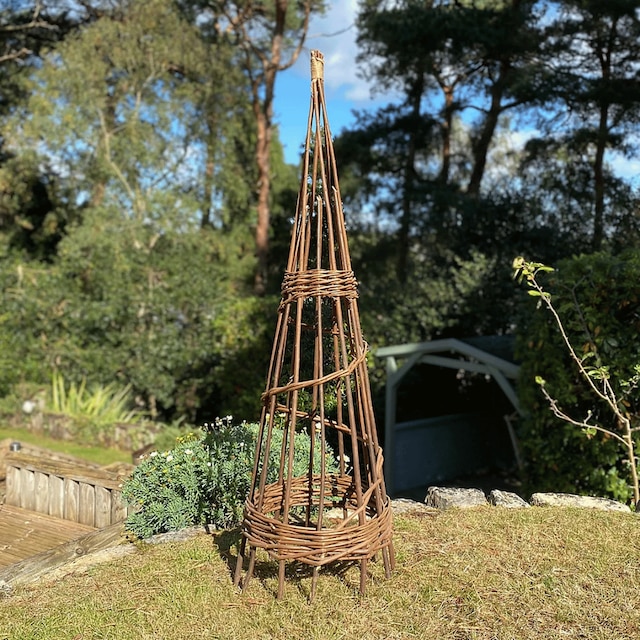 Two spiral willow garden obelisks