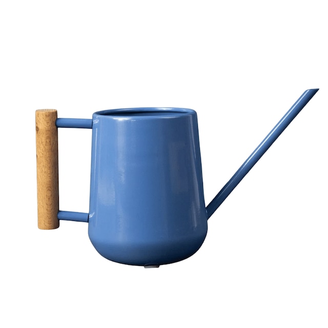 Indoor watering can