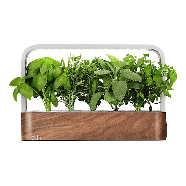 EDN SmallGarden