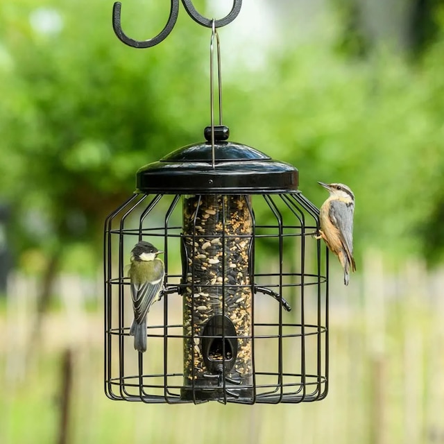 Brussels guardian caged bird seed feeder