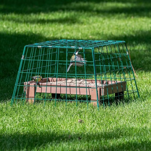 Ground feeder guardian cage 