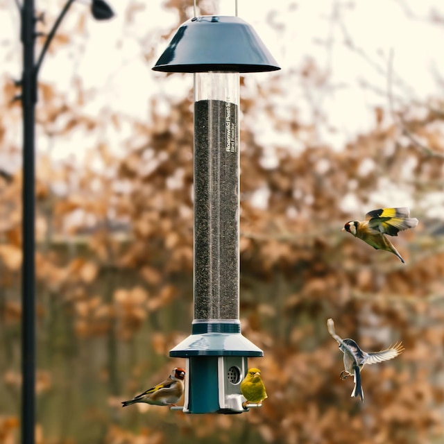 Roamwild PestOff bird feeder 