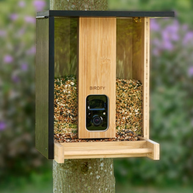 Birdfy feeder bamboo