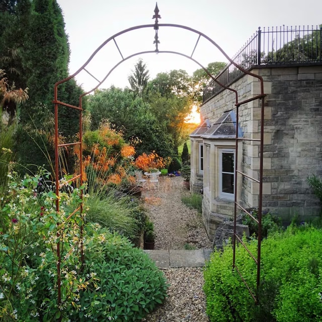 Wisteria arch