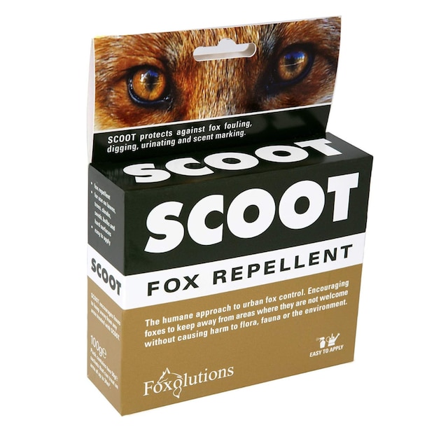 Foxolutions’ Scoot