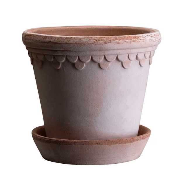 Bergs scalloped tapered plant pot & saucer 