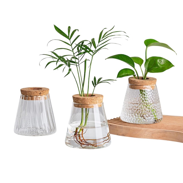Glass planter