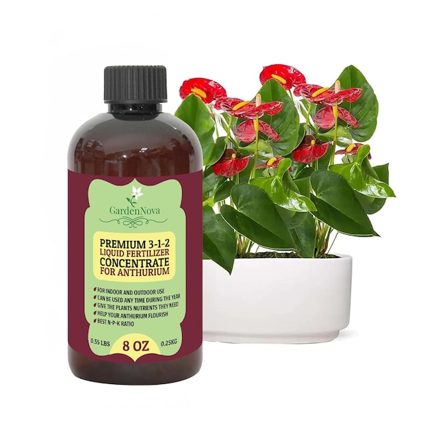 Premium liquid anthurium plant fertiliser 