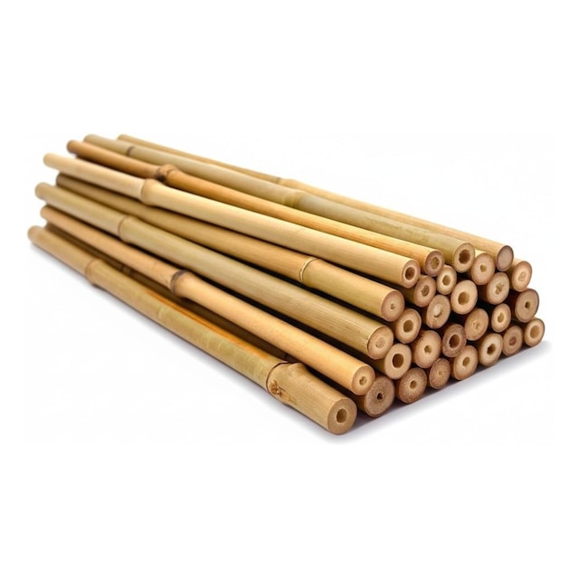 Bamboo canes for garden 