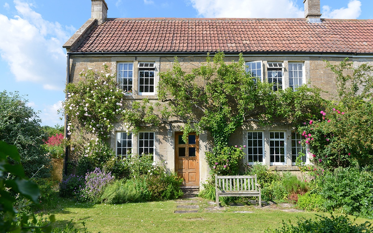 Front garden with planting