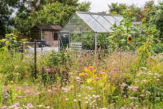 Best allotment kit