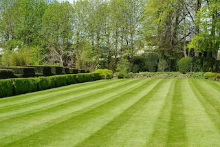 Stripy lawn