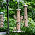 Birds eating seeds from a bird feeder in summer in the garden