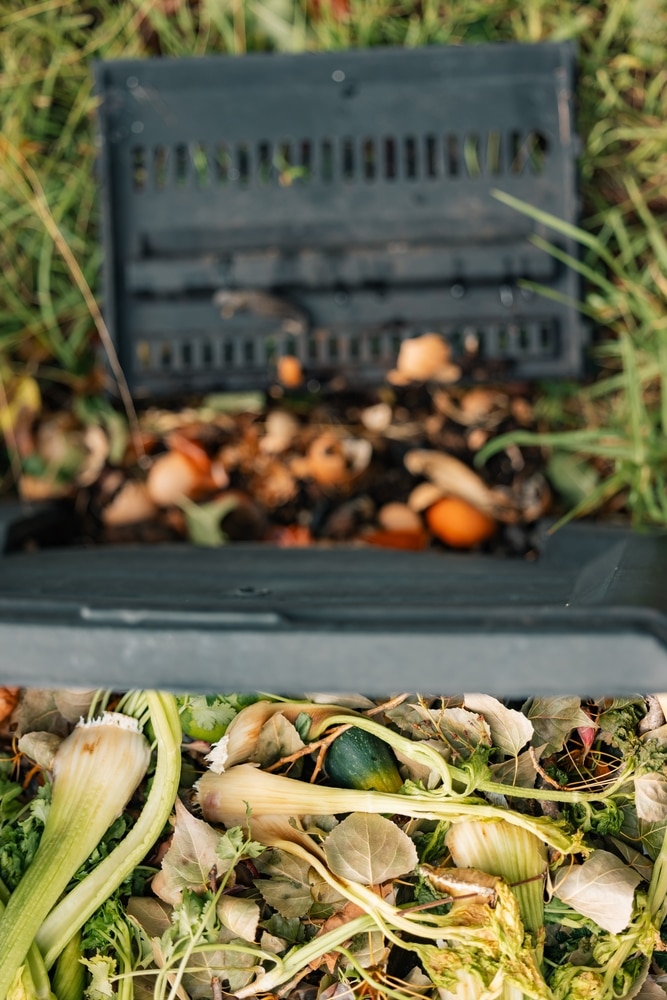 Top down view of backyard compost bin with fresh food waste at top and composted material at the bottom