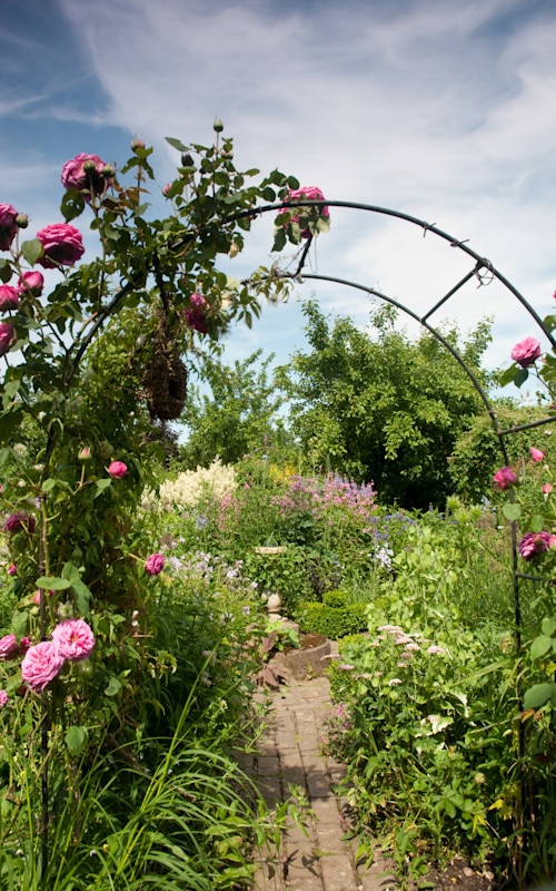 Summer garden with flower arch and blue sky behind