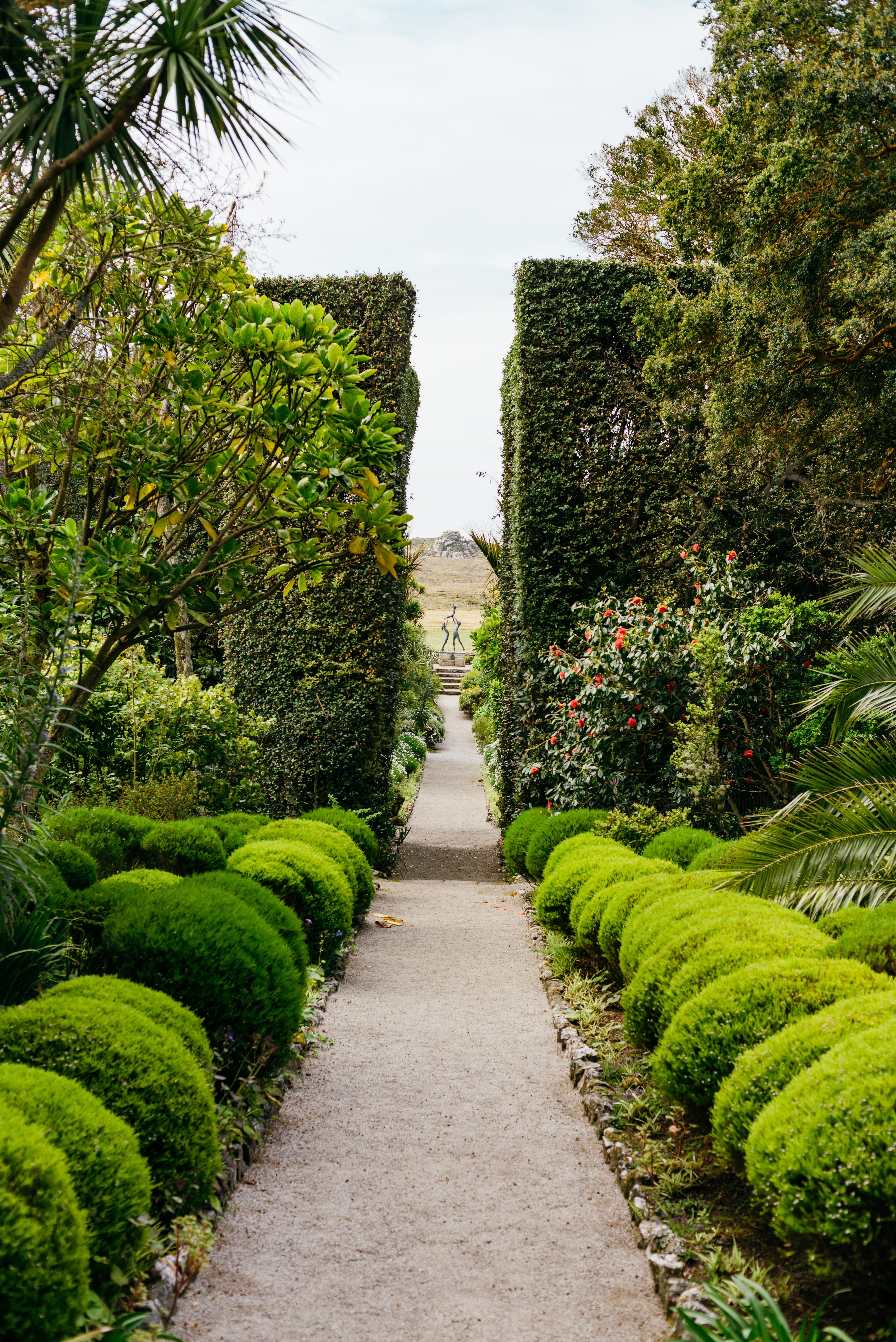 Tresco Abbey Gardens, Tresco island, Isles of Scilly, Cornwall, England, UK
