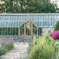 Alitex greenhouse 