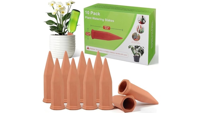 Plant Watering Stakes