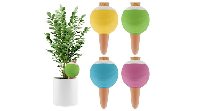 Self Watering Globes